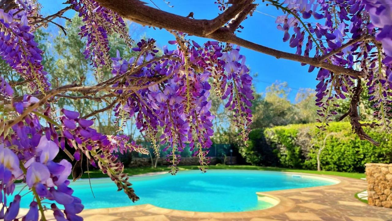 Agriturismo Sa Mandra Casa Minnina Εξωτερικό φωτογραφία
