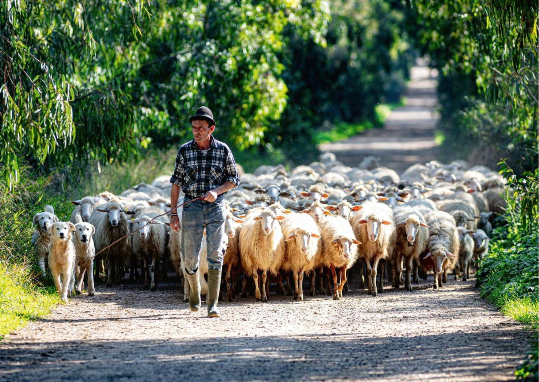 Agriturismo Sa Mandra Casa Minnina Εξωτερικό φωτογραφία